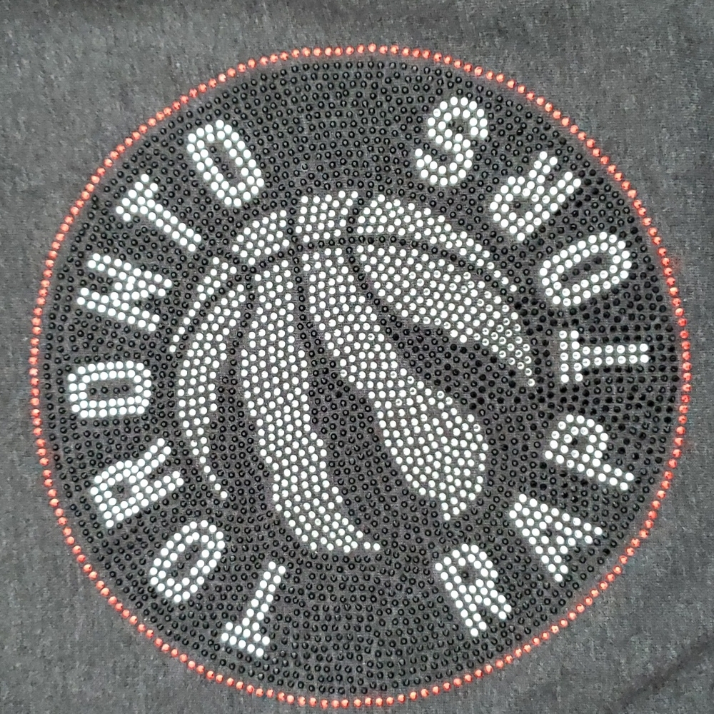 NWOT Toronto Raptors Rhinestone Sweatshirt Top - Picture 5 of 8